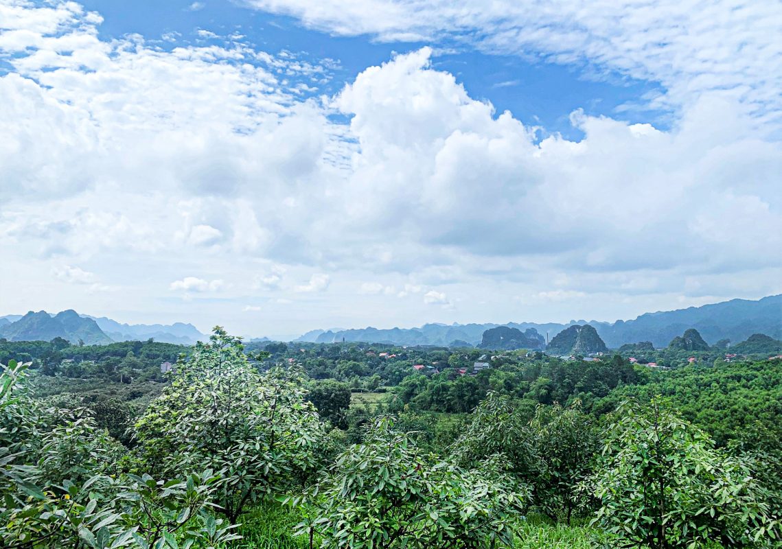 nong trai ygc